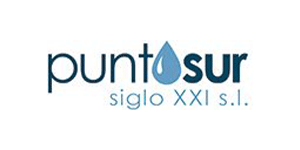 Logo Desatrancos Puntosur 2 - Centro SEO, agencia de posicionamiento SEO