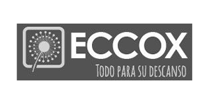 Logo Eccox 2 - Centro SEO, agencia de posicionamiento SEO