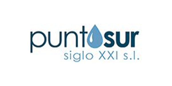 Logo Desatrancos Puntosur - Centro SEO, agencia de posicionamiento SEO