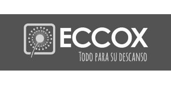 Logo Eccox - Centro SEO, agencia de posicionamiento SEO