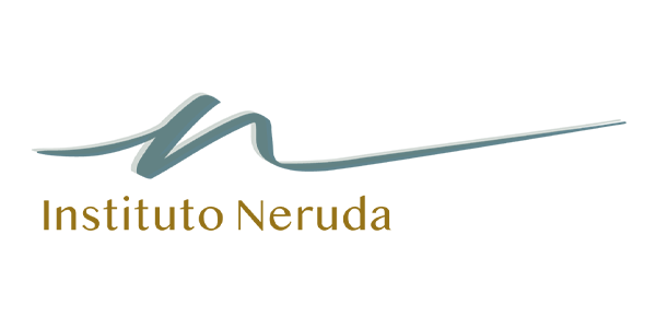 Logo Institutonerudaadicciones - Centro SEO, agencia de posicionamiento SEO