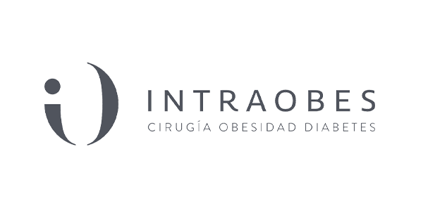 Logo Intraobes - Centro SEO, agencia de posicionamiento SEO