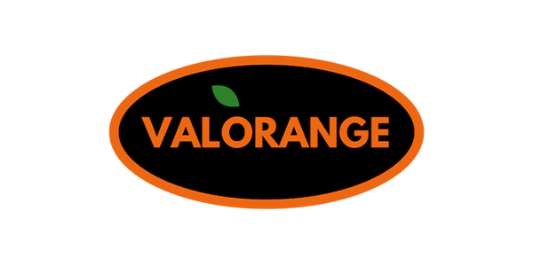 Logo Valorange - Centro SEO, agencia de posicionamiento SEO