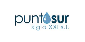 Logo Desatrancos Puntosur - Centro SEO, agencia de posicionamiento SEO