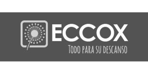 Logo Eccox - Centro SEO, agencia de posicionamiento SEO
