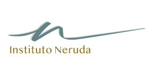 Logo Institutonerudaadicciones - Centro SEO, agencia de posicionamiento SEO