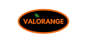 Logo Valorange - Centro SEO, agencia de posicionamiento SEO